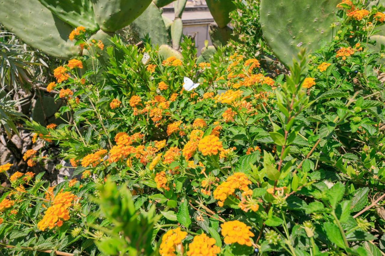 Trigona Garden Suite โนโต ภายนอก รูปภาพ